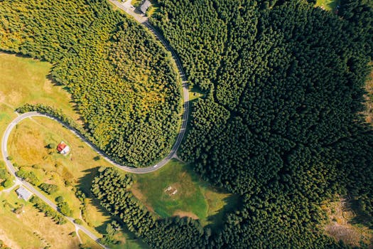 Proč Voliči Spolu a STAN Odmítají Vládu ANO: Důsledky pro ČR