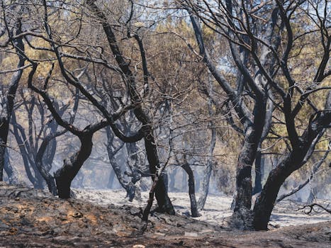 Tragický Požár v Karáčí: 21 Mrtvých, 60 Pohřešovaných