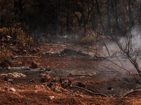 Požár v Pákistánu: 28 mrtvých, desítky nezvěstných